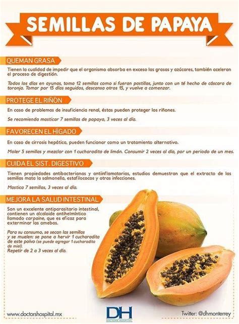 Papaya Propiedades Y Contraindicaciones Salud Semillas De Papaya