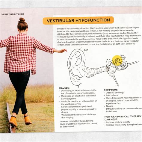 Printable Resource Vestibular Hypofunction - Etsy