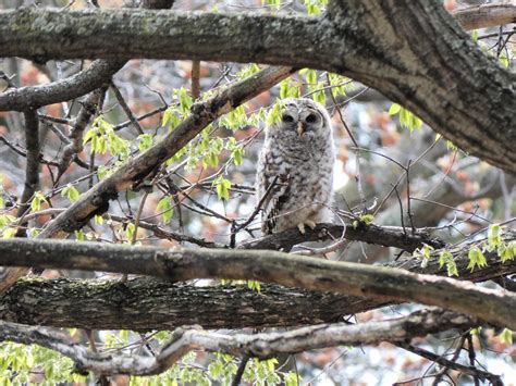 54 best Lake Harriet images on Pholder | Minneapolis, Minnesota and
