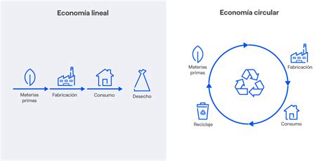 Econom A Circular Definici N Ejemplos Y Beneficios Endesa