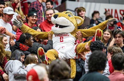 Wsu Basketball Watch Parties Happening Across The Country Thursday