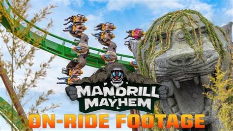 Mandrill Mayhem POV HD On Ride World Of Jumanji Chessington World