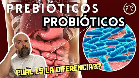 PrebiÓticos Y ProbiÓticos 🦠 ¿en Qué Se Diferencian ¿para Qué Sirven Youtube