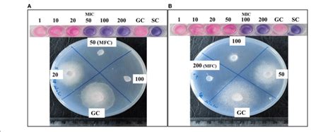 Determination Of Minimum Inhibitory Concentration Mic And Minimum