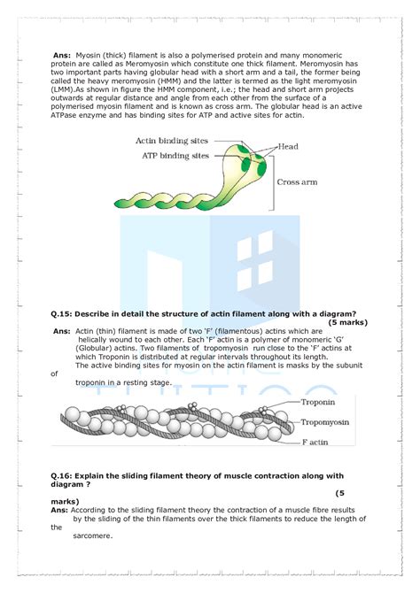 Important Questions For Class Biology Chapter Locomotion And Movement