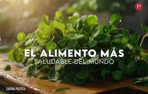 El Alimento MÁs Saludable Del Mundo Latitud Megalópolis