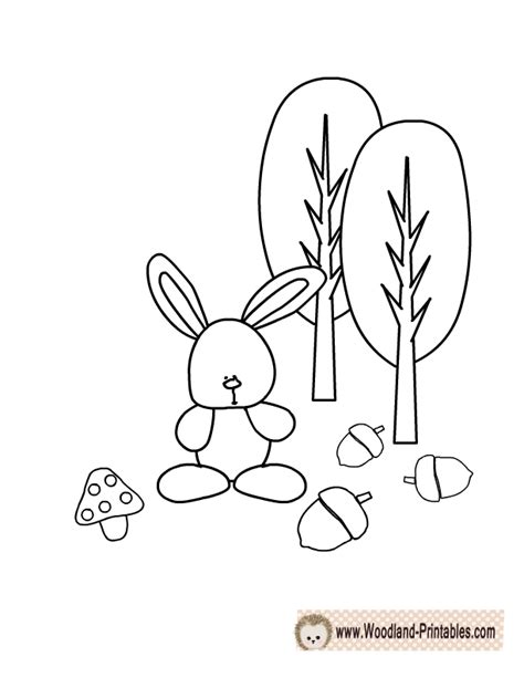 Free Printable Woodland Animals Coloring Pages