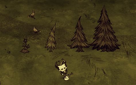 Dont Starve Together Beginners Tutorial Days 1 5 At The Minute