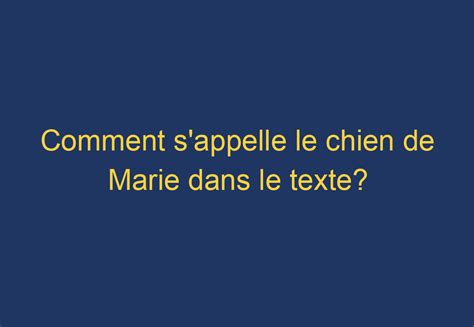 Comment S Appelle Le Chien De Marie Dans Le Texte Chien Comment