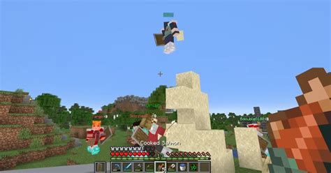 Wild Life Smp Episode 4 Quiz By Pandapants