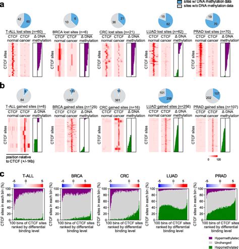 Patterns Of Differential Dna Methylation Near Cancer Specific