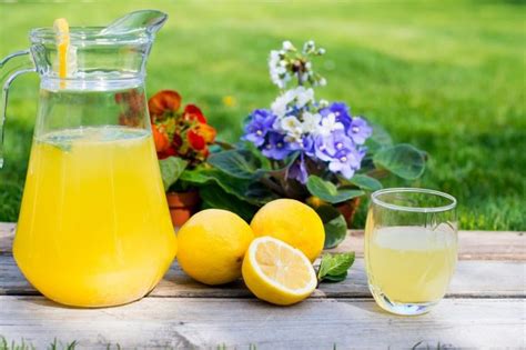 Od Vo Ke Dobijete Litre I Litre Limunade Provereni Recept Za Sirup