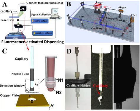 Figure 1 From A Fluorescence Activated Single Droplet Dispenser For High Accuracy Single Droplet