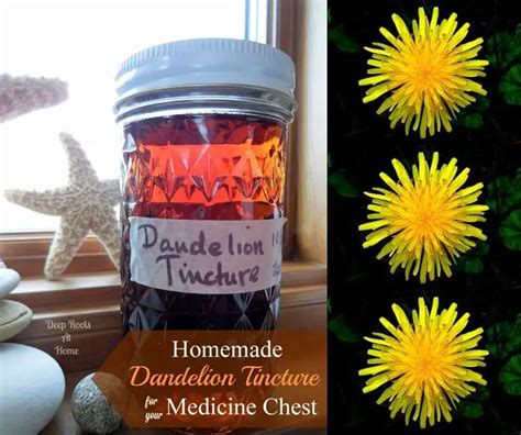 Homemade Medicinal Dandelion Tincture Remedy Recipe - The Homestead ...