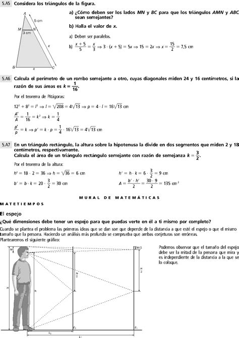 Semejanza De Figuras Ejercicios Resueltos De Secundaria Matematica 4