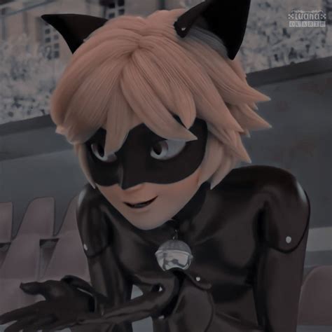 Matching Icons Ladynoir Em Marinette E Adrien Desenho De Casal