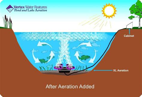 Vertex Air 1 Plus Xl2 Aeration System