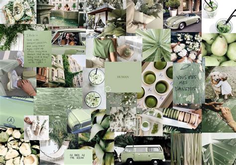 Download Green Aesthetic Desktop Collage Wallpaper