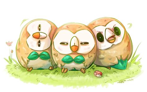 🔥 [20+] Rowlet HD Wallpapers | WallpaperSafari