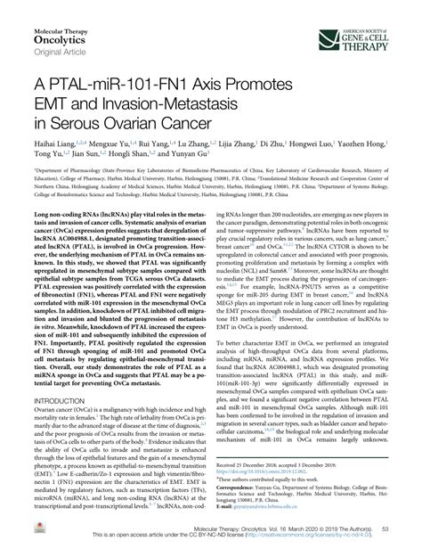 Pdf A Ptal Mir Fn Axis Promotes Emt And Invasion Metastasis In