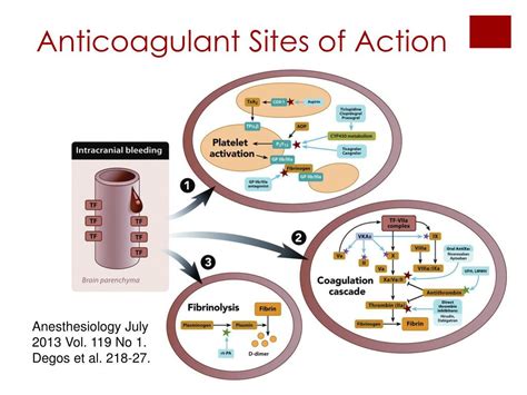 Ppt Current Thoughts On Anticoagulants And Regional Anesthesia