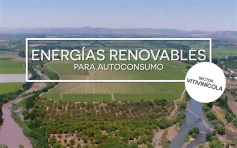 Energ As Renovables En El Sector Vitivin Cola Energ As Renovables