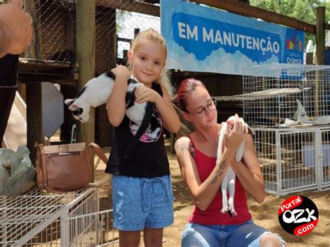 Feira de Adoção de Animais passa a fazer parte do calendário mensal da