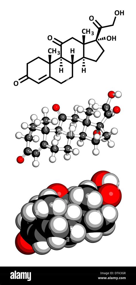 Cortisona Hormona Del Estrés Molécula Fotografía De Stock Alamy