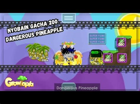 NYOBAIN GACHA 200 DANGEROUS PINEAPPLE VERY DANJYARASU Growtopia