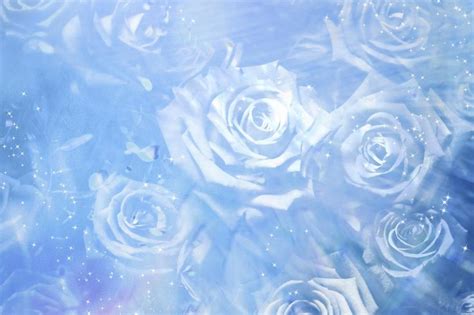 A Bunch Of White Roses On A Blue Background With Water Droplets And