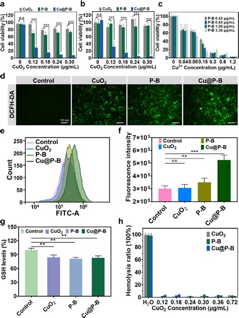 A The Viability Of 4t1 Cells After Different Treatments For 48 H N