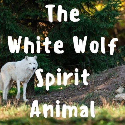 The White Wolf Spirit Animal and Totem Meanings - Yocean Yogi