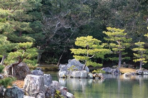 Japanese garden at famous Kinkakuji 9637710 Stock Photo at Vecteezy