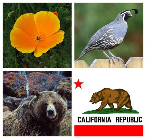 Free Printable For California State Symbols And Geography Terms Nice