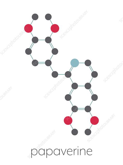 Papaverine Opium Alkaloid Molecule Illustration Stock Image F