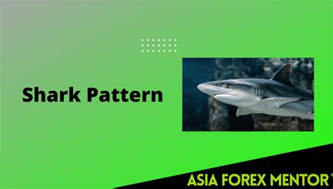 Improve Trading With The Shark Pattern Asia Forex Mentor