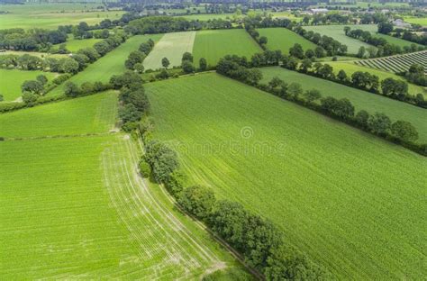 Drone Flight And Aerial View Over A Corn Field Stock Image Image Of