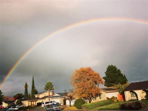 thumbs pro Rainbows at Hacienda Pèrez Garcia https