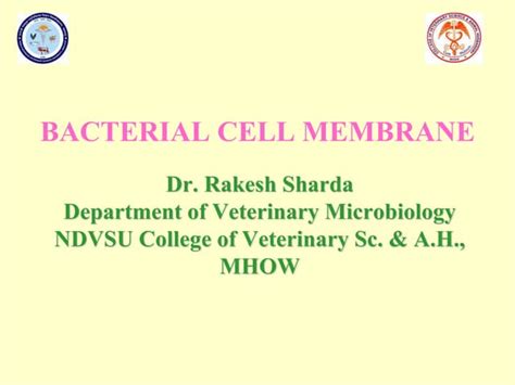 Bacterial-cell-membrane.pdf