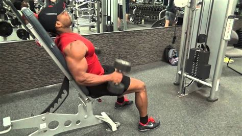 SEATED HAMMER CURL YouTube