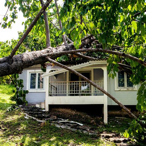 What Should I Do If I Think I Have Storm Damage To My Roof Dryhome