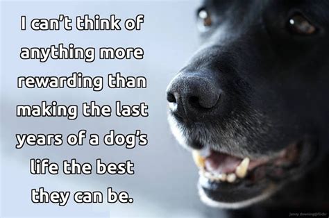 49 best Old Dog Quotes images on Pinterest | Beautiful, Feelings and Hearts