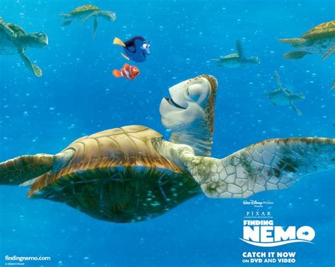 Coo Coo Ka Choo Dude Alla Ricerca Di Nemo Tartaruga Di Mare Pixar