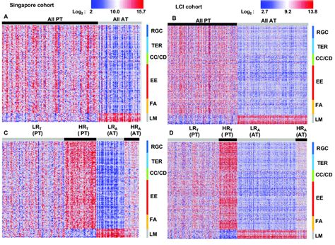 Gene Expression Heatmap For Representative Genes Of Common Prognostic