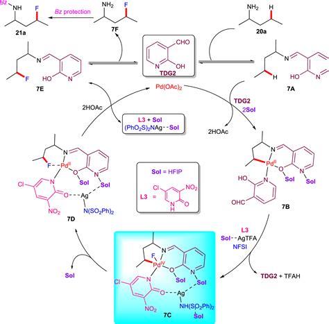 Transition Metal Catalyzed C Sp3 H Bond Fluorination Reactions Chem