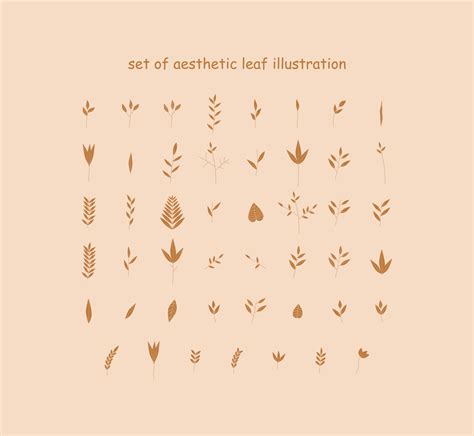 set of aesthetic leaf illustration 11687928 Vector Art at Vecteezy