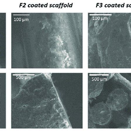 Sem Images Of Coated And Uncoated Calcium Phosphate Cement Cpc