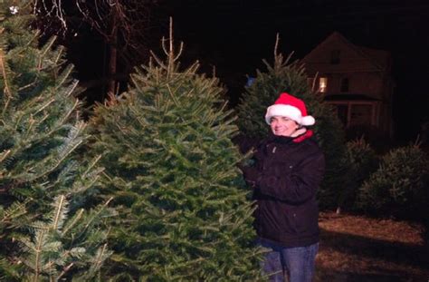 How To Pick The Perfect Christmas Tree