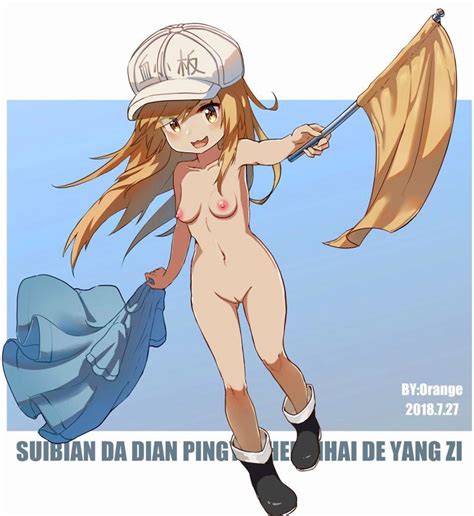 Post 5200023 Cellsatwork Edit Platelet Ponchocop