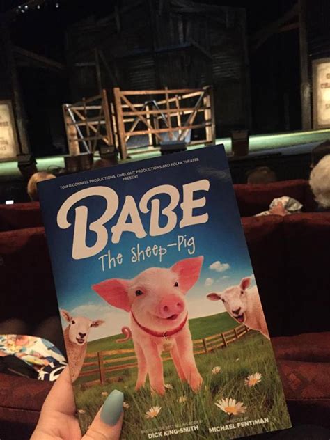 Babe The Sheep Pig At Nuffield Southampton Theatre Review Elizabeth Carey